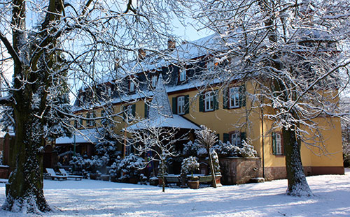 Fürstliches Palais Meerholz im Schnee